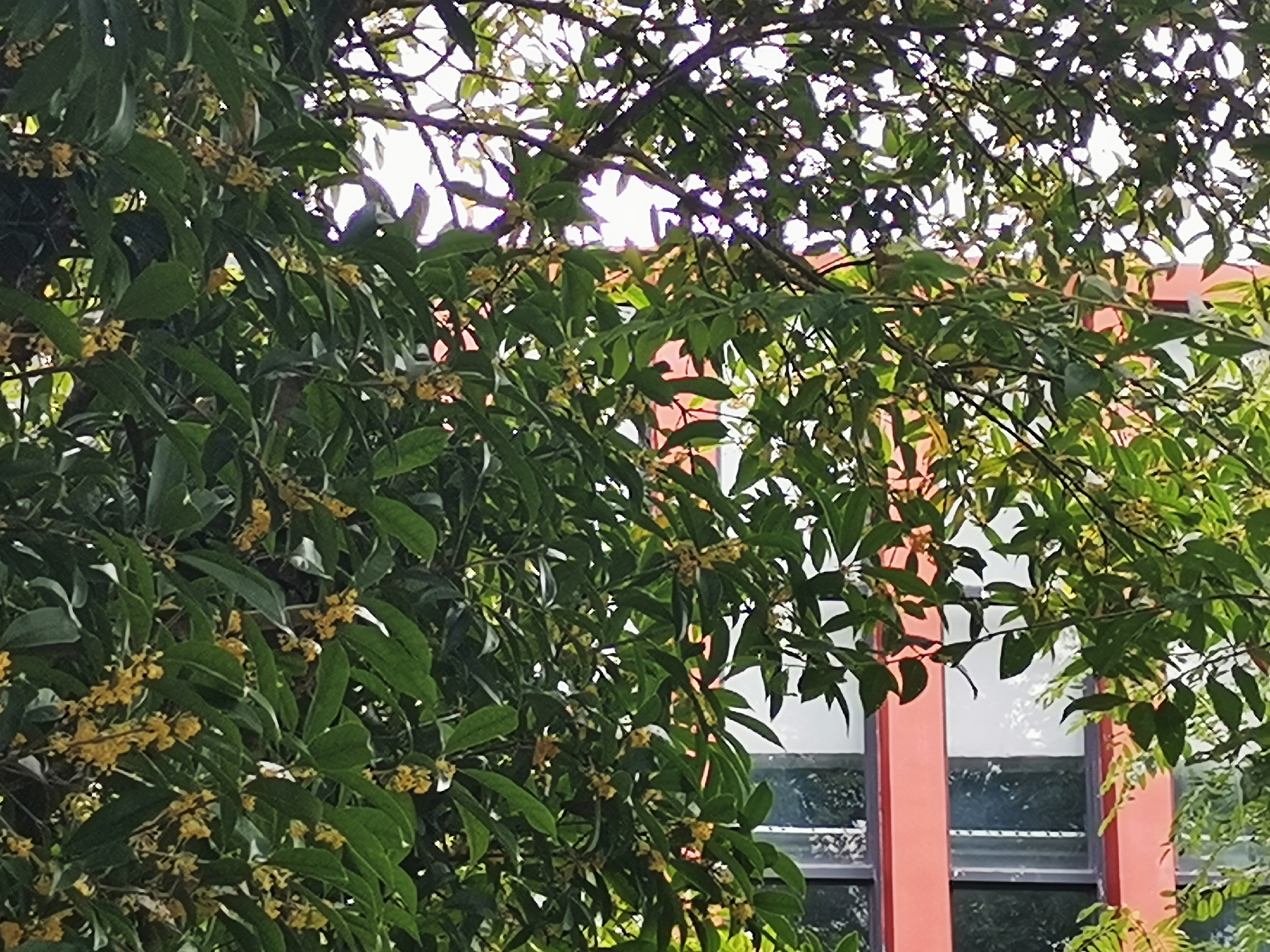 【校园文化】建筑与艺术设计系秋冬景